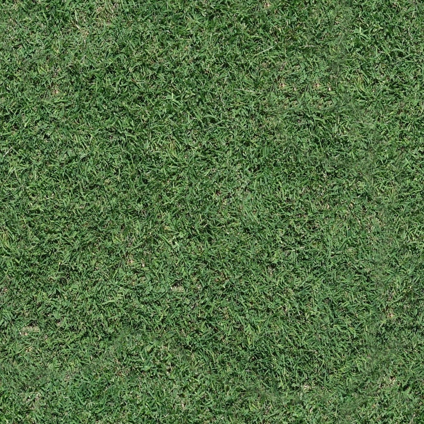 healthy-mown-turf.jpg