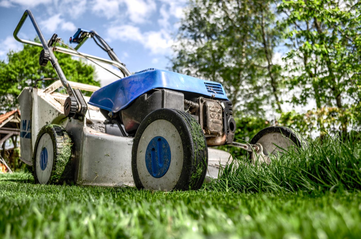 lush-green-lawn-uk.jpg