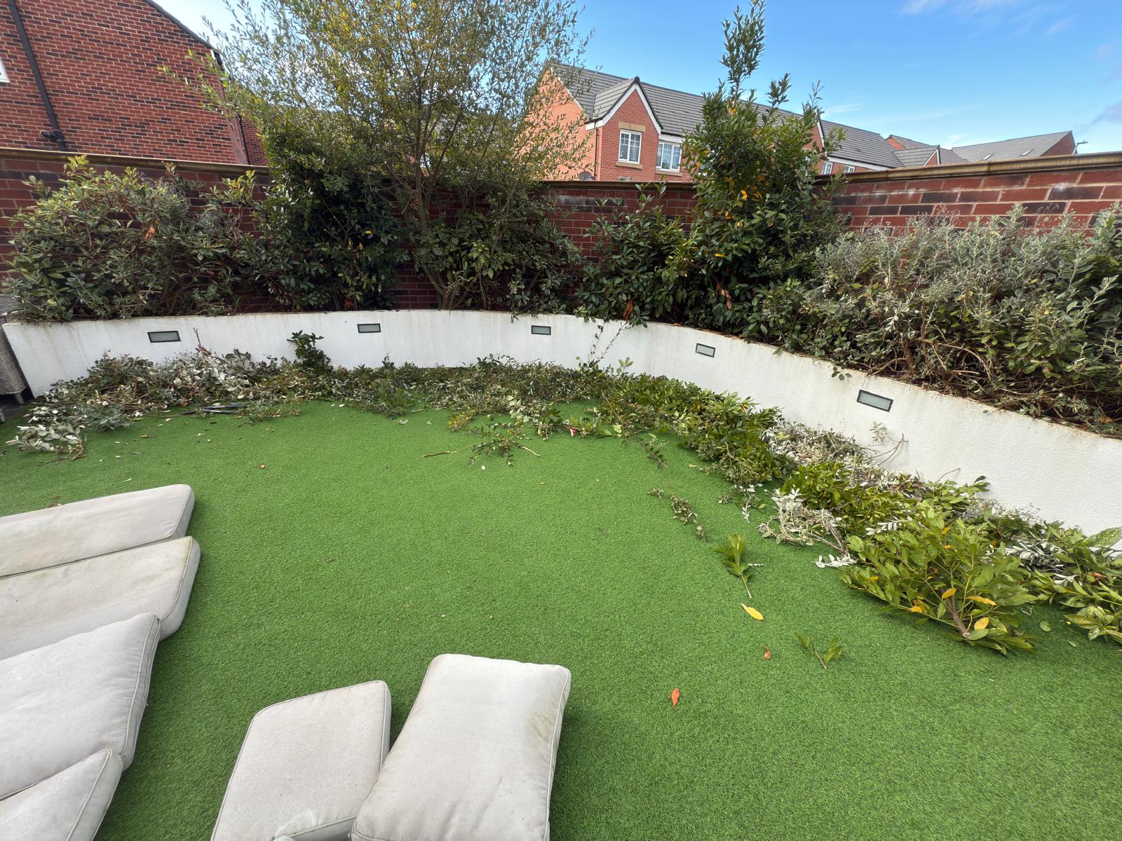 Artificial grass lawn buried under cut branches, hedge trimmings and garden debris before clearance and deep cleaning