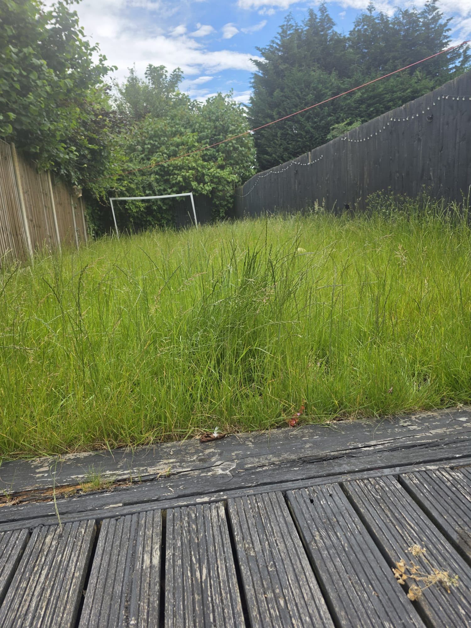 The corner seating area before the tidy-up, with a tired lawn and scattered cushions