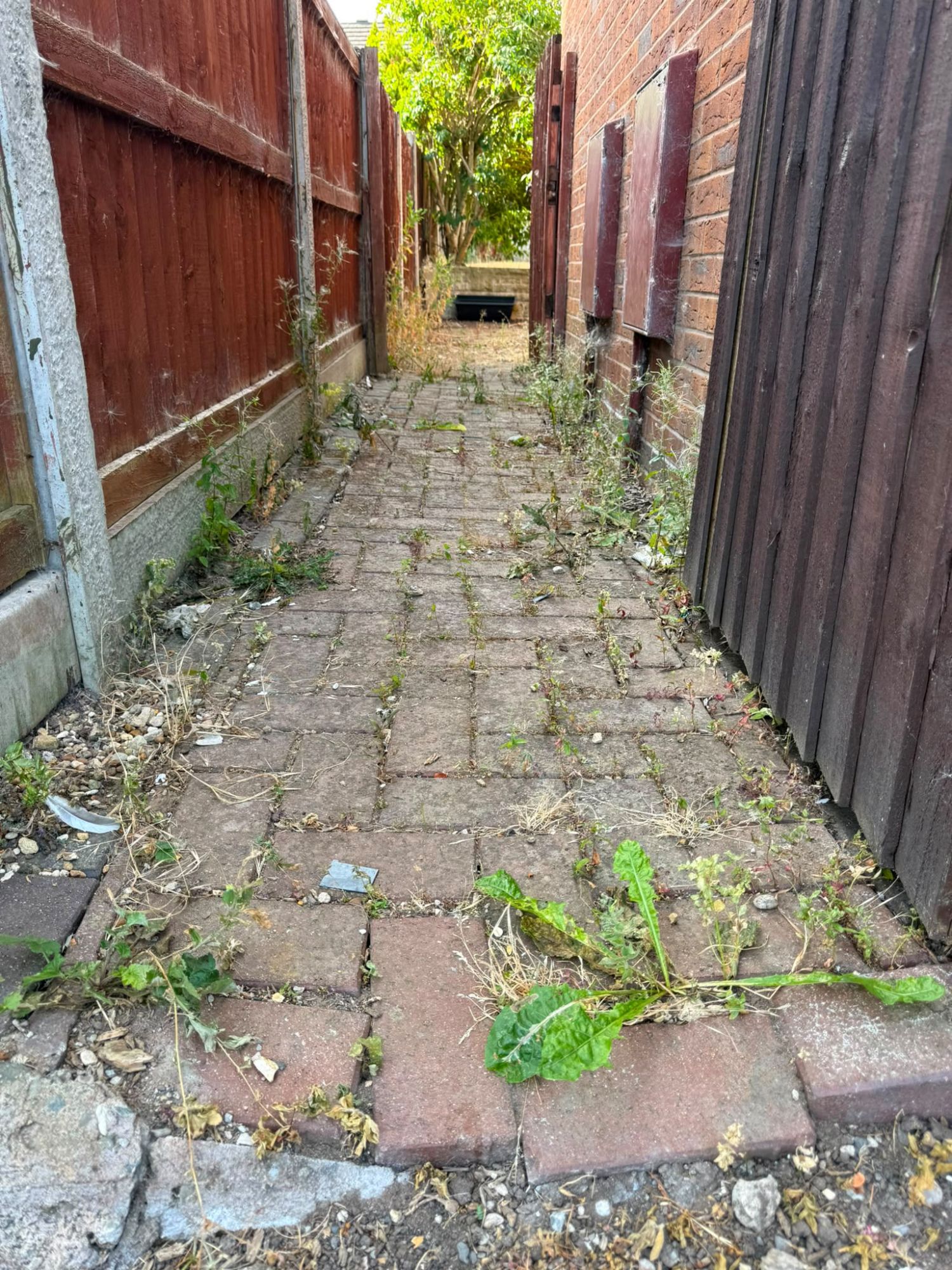 The same block paving cleared of weeds and cleaned to a tidy, even finish