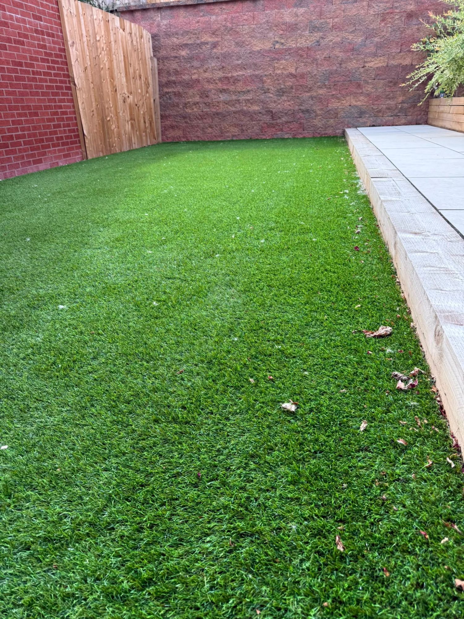 Artificial lawn with light leaf debris before cleaning and brushing