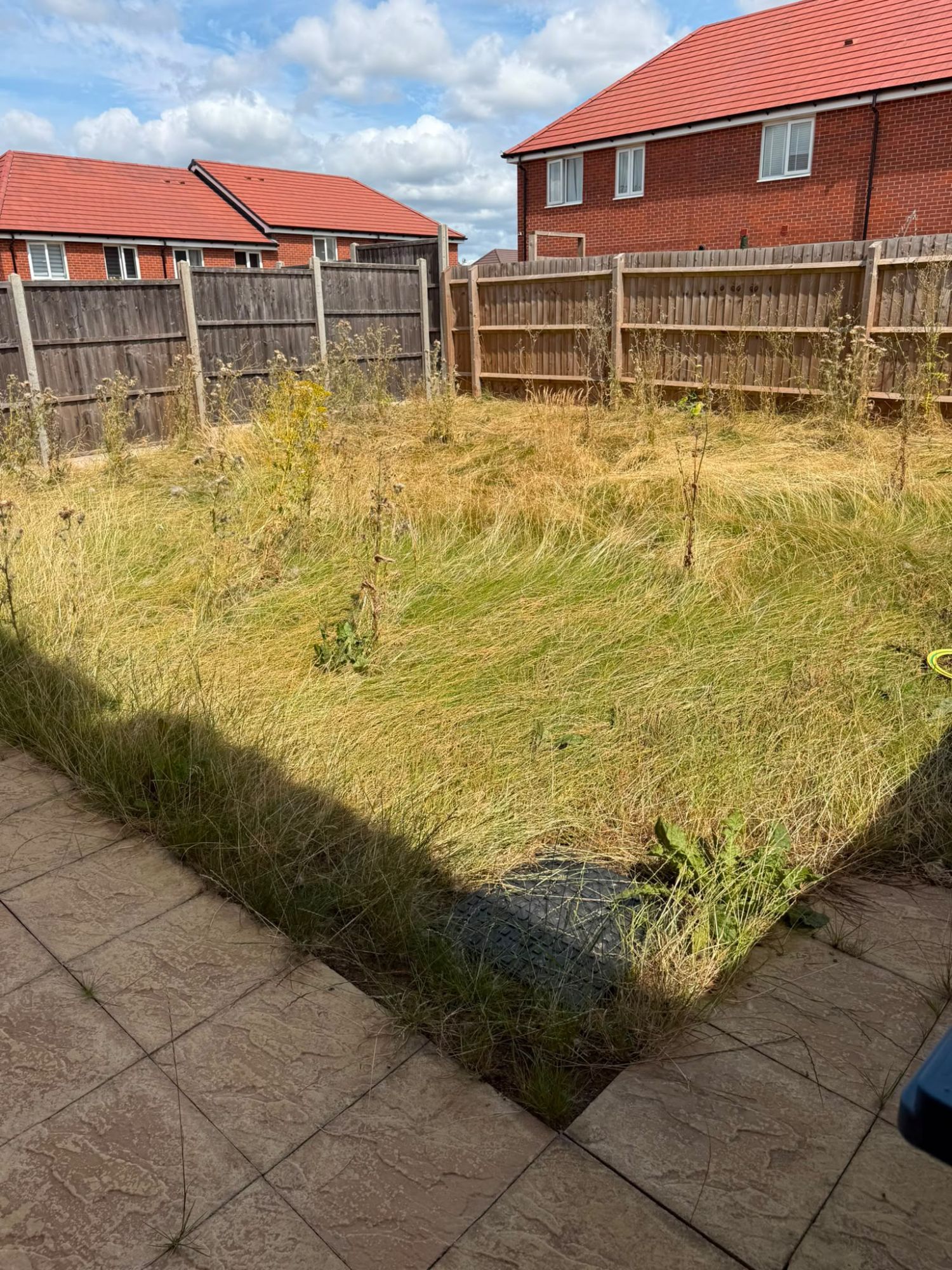 Rear lawn overgrown to knee height with long grass and weeds